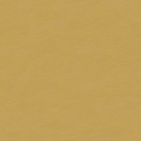 L2078-BONE
