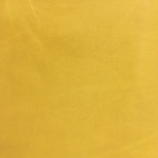 L2228-DAFODIL
