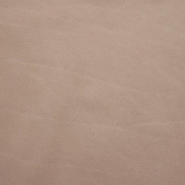 L2237-TAUP-(web)