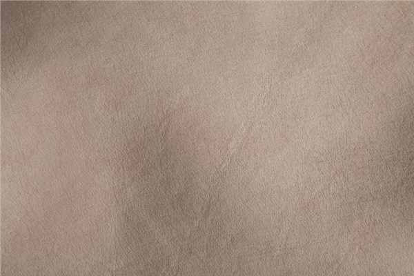 L2237-TAUPE